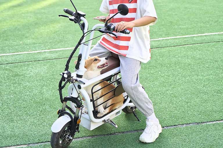 Mopet Pet Scooter: An electric scooter with a cage-like dog carrier