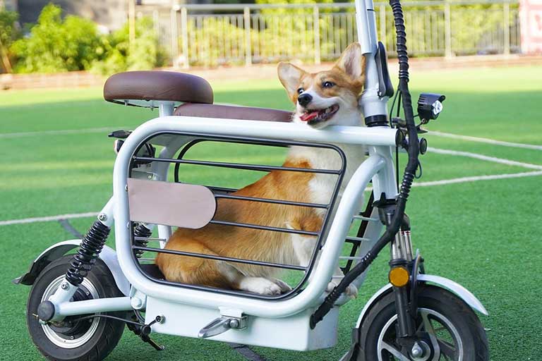 Mopet Pet Scooter: An electric scooter with a cage-like dog carrier