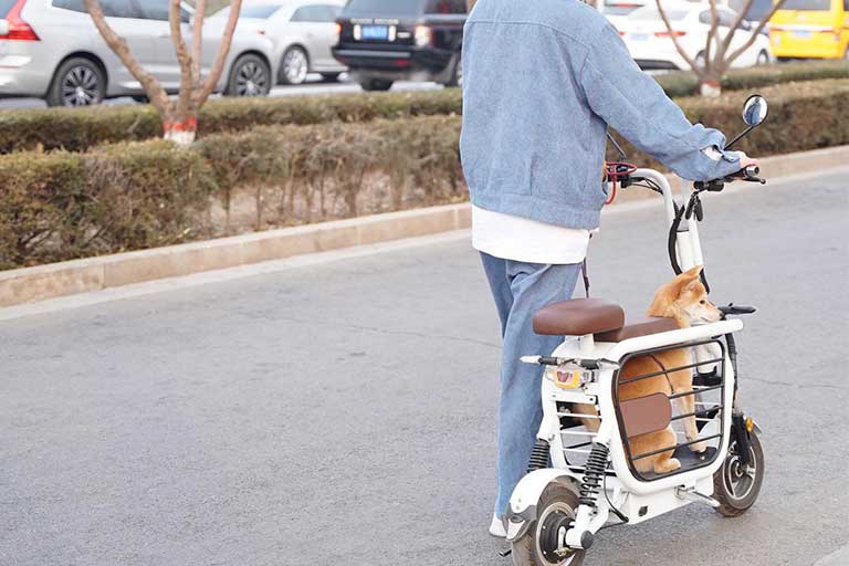 scooter with dog carrier