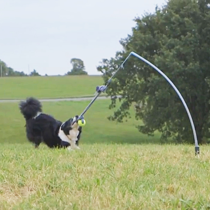 Tether Tug Interactive Dog Rope Toy That Keeps Your Dog Active All