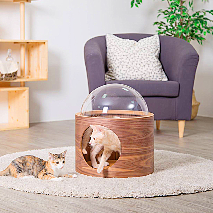 Bubble Window Wall-Mounted Cat Bed
