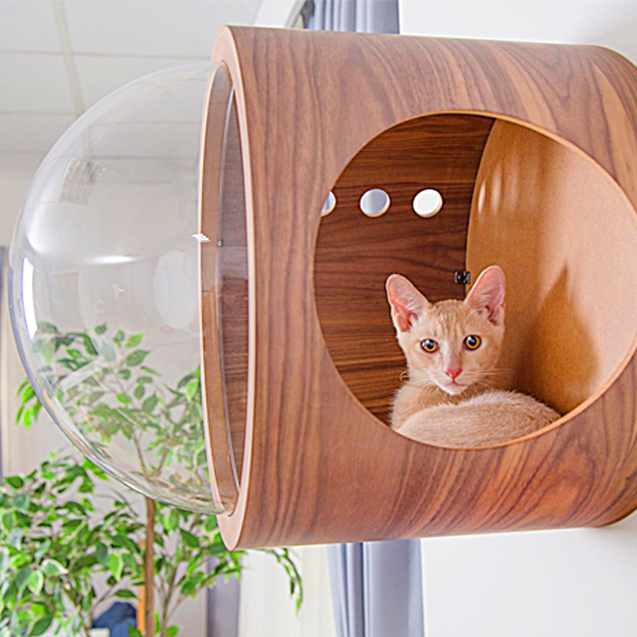 floating window cat bed
