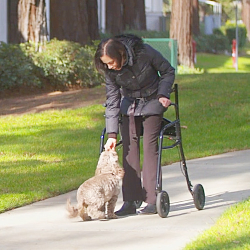 LifeGlider HandsFree Mobility Assistance Devices For Elderly And