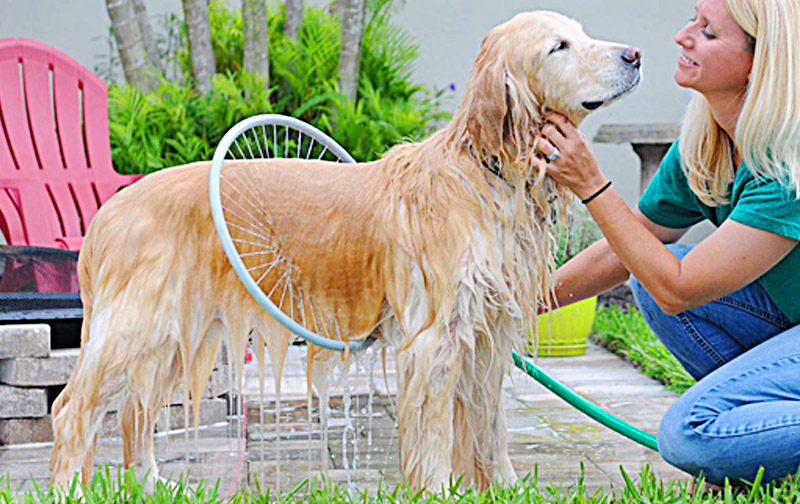 Dog Washing Ring For Easy Dog Bath 