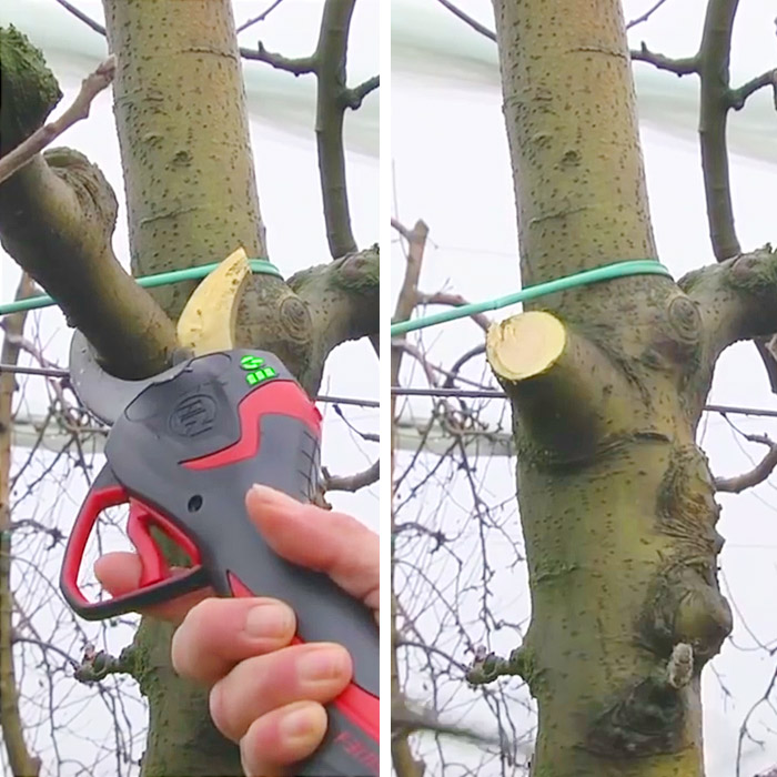 Electric Pruning Shears For Trees