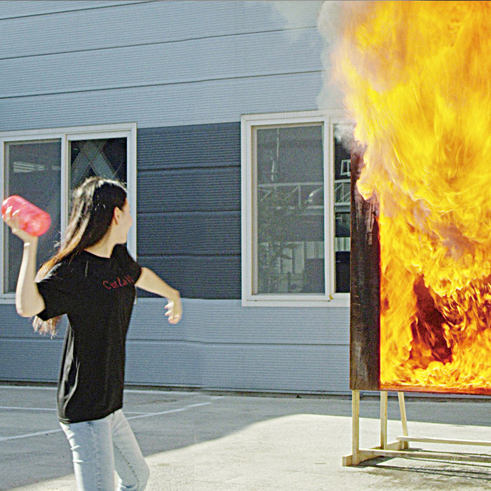 Throwable Fire Extinguisher 