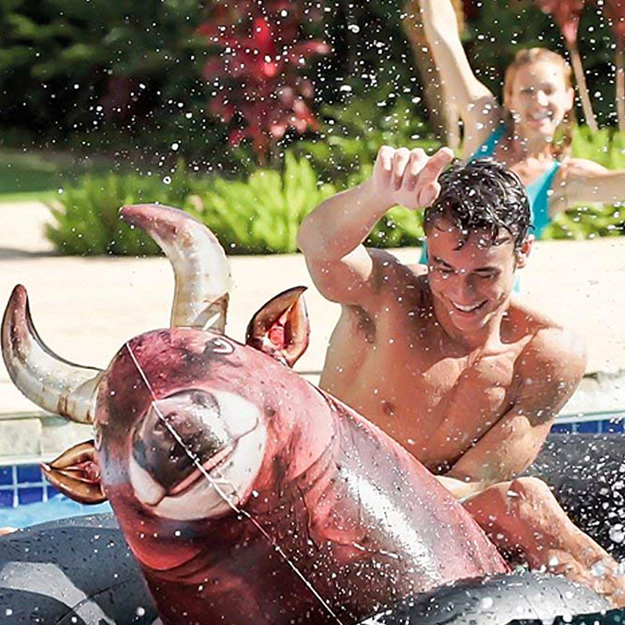 riding bull pool toy