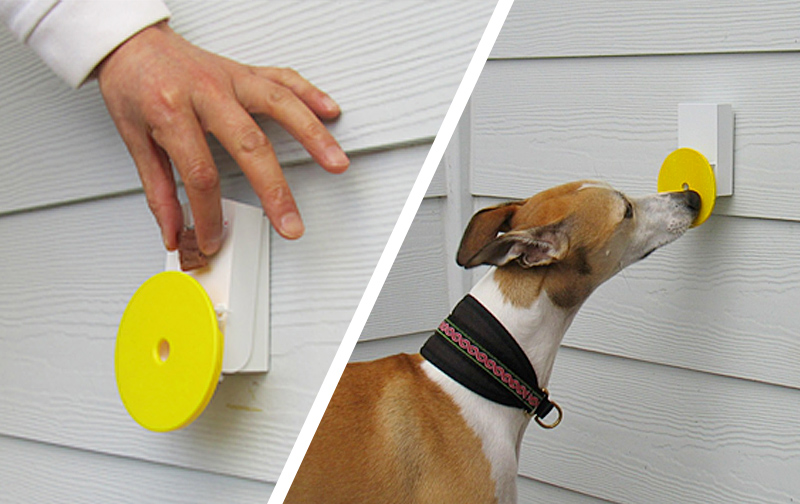 Best Dog Doorbell Pebble Smart Doggie Doorbell