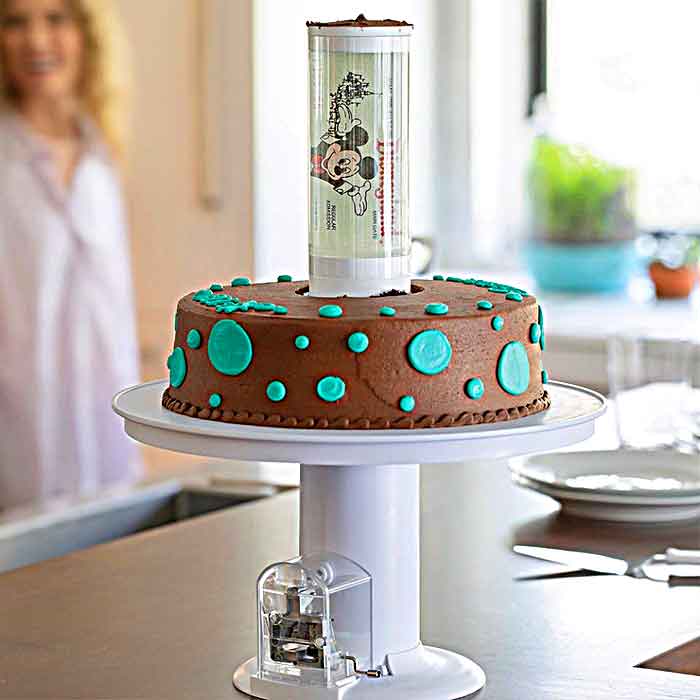 Pop Up Surprise Cake Stand