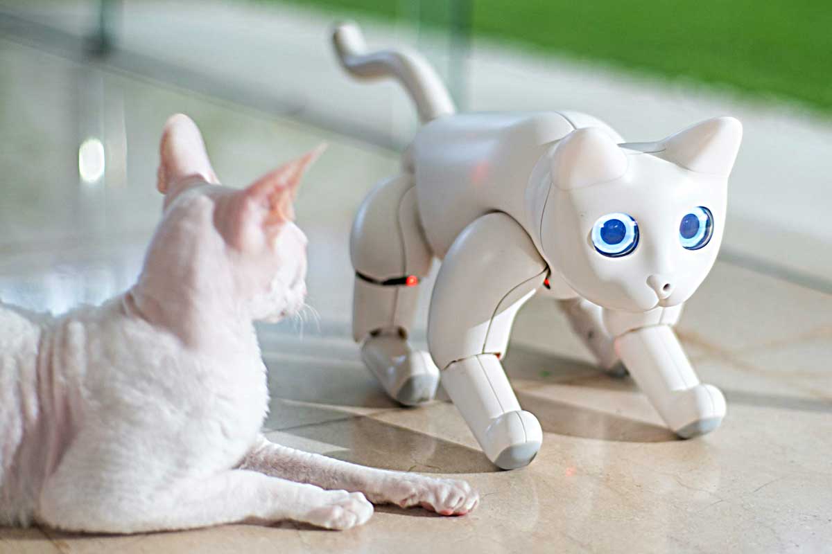 This Interactive Robotic Cat Will Play With You | MarsCat