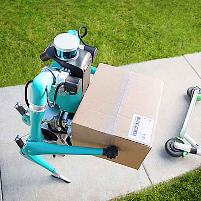 Package Delivery Robot