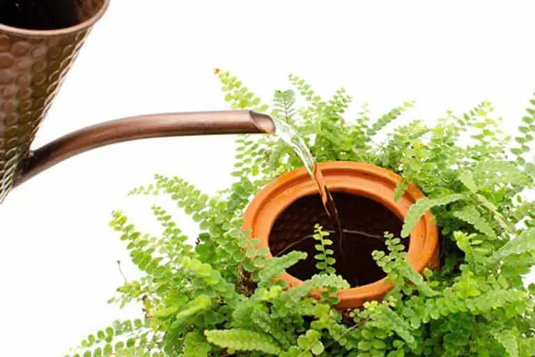 Terraplanter's Inside-Out Pot Changes the Way We Grow Plants