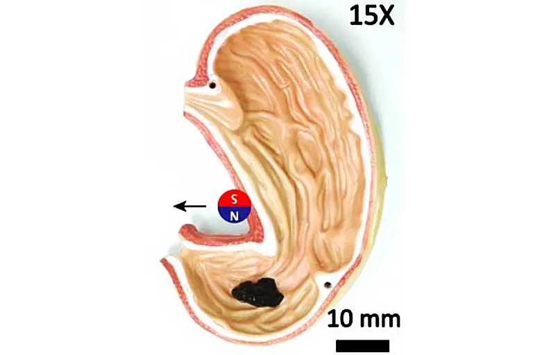 A Slime Robot That Enters The Human Body For Medical Purposes