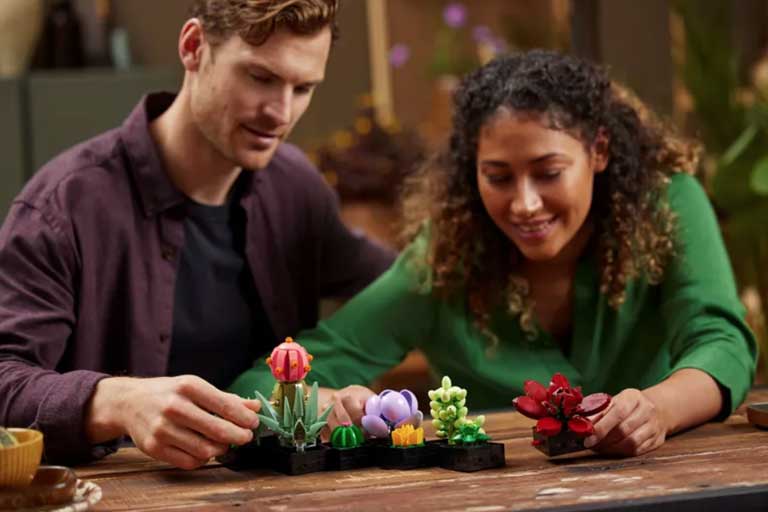 LEGO succulents gadget for guys