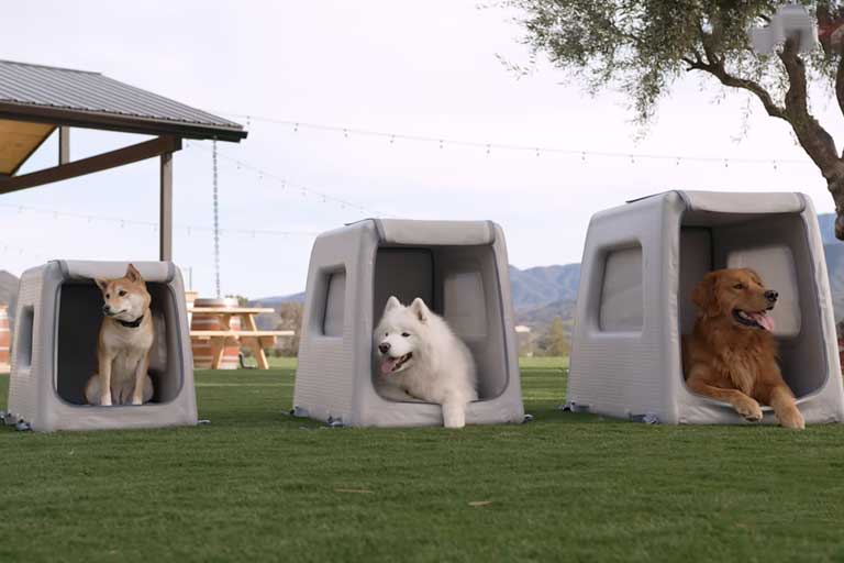The Enventur is an Inflatable dog travel crate for car